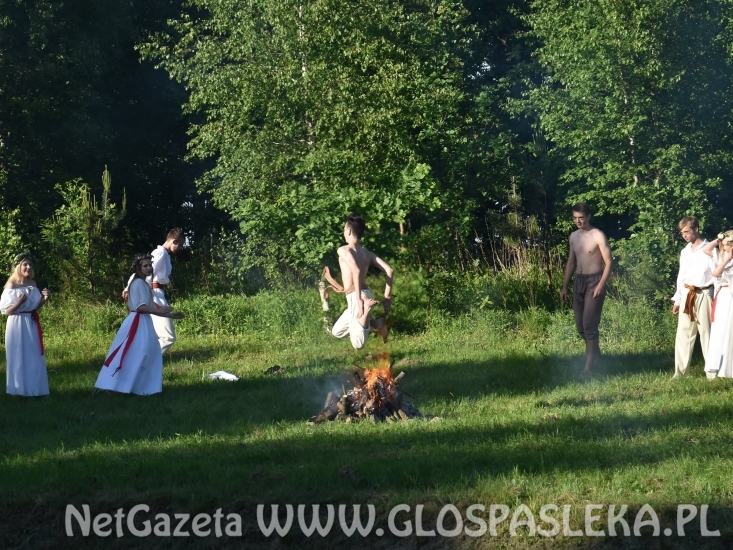 Palinocka w Godkowie - maj 2018