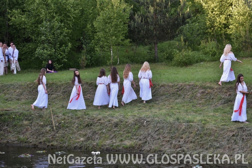 Palinocka w Godkowie - maj 2018