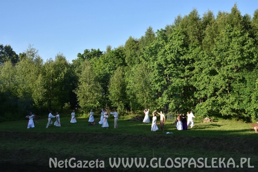 Palinocka w Godkowie - maj 2018