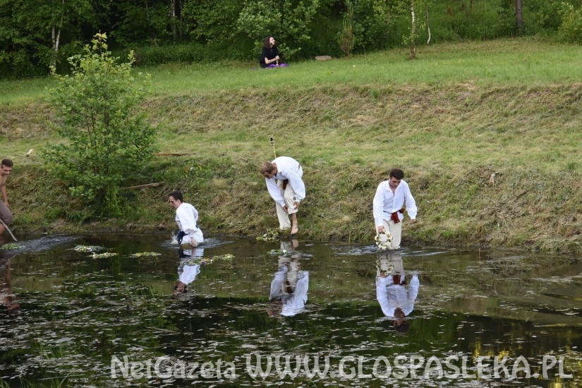 Palinocka w Godkowie - maj 2018