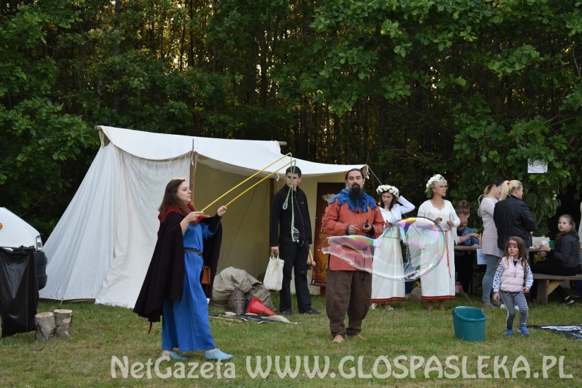 Palinocka w Godkowie - maj 2018