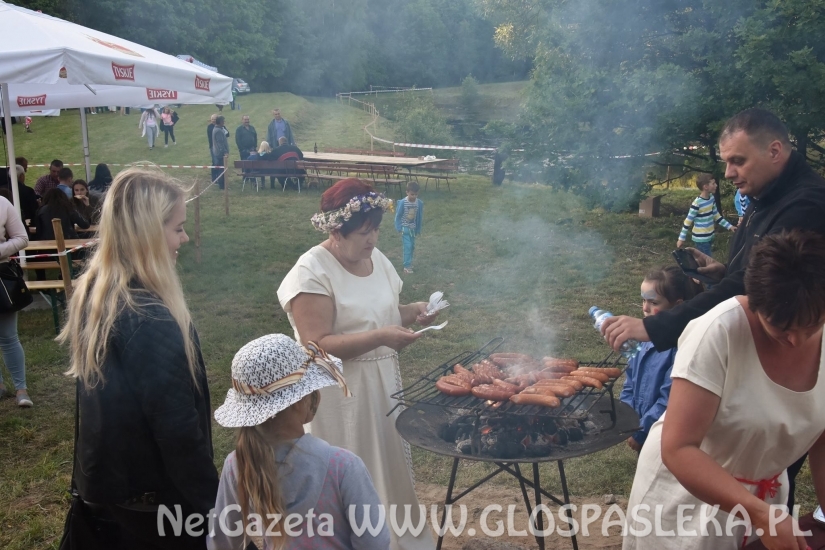 Palinocka w Godkowie - maj 2018
