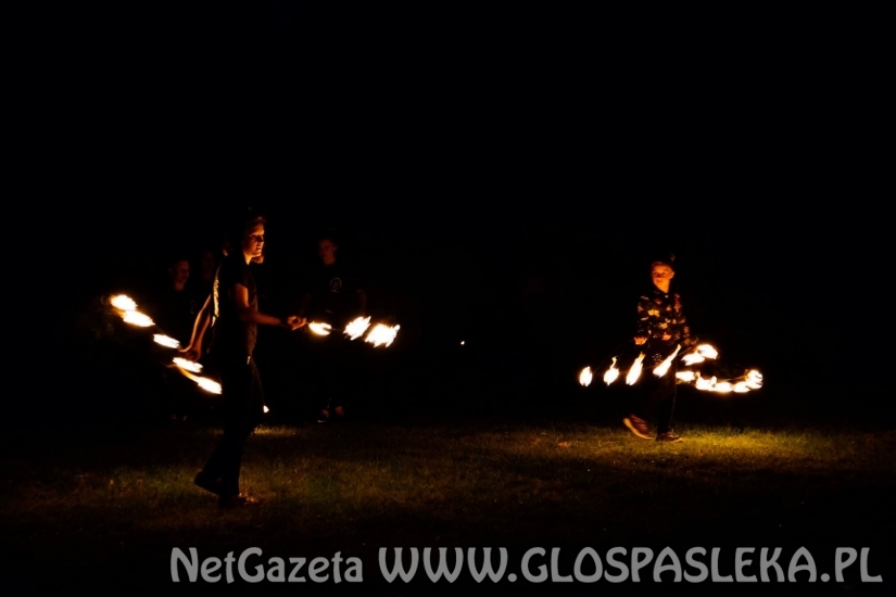 Palinocka w Godkowie - maj 2018