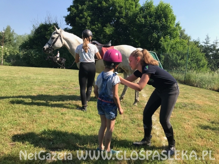 Amazonki z Nenii w Marwicy