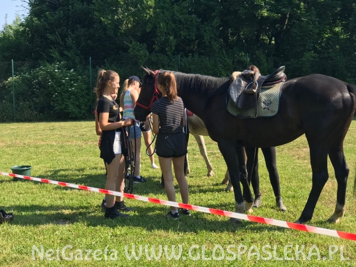 Amazonki z Nenii w Marwicy