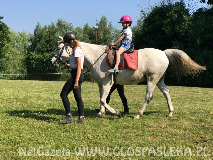 Amazonki z Nenii w Marwicy