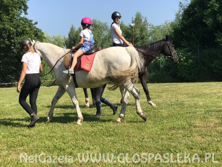 Amazonki z Nenii w Marwicy