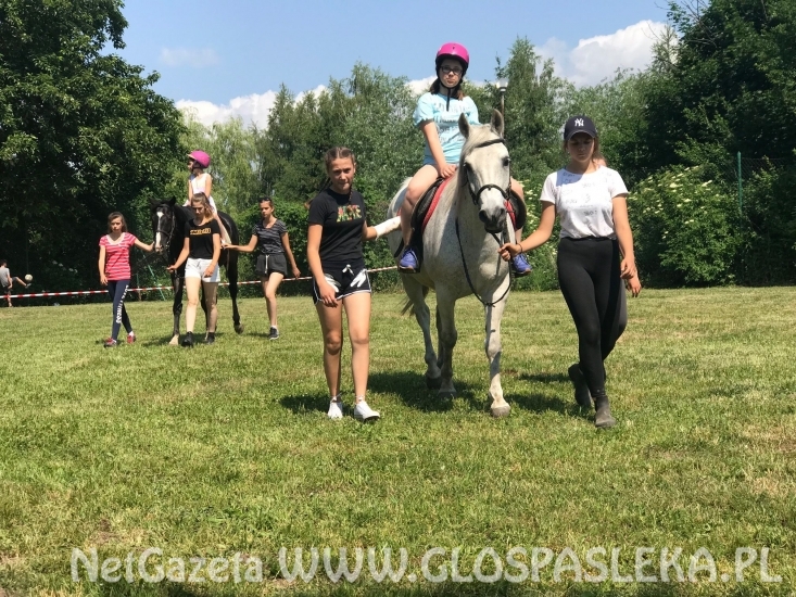 Amazonki z Nenii w Marwicy