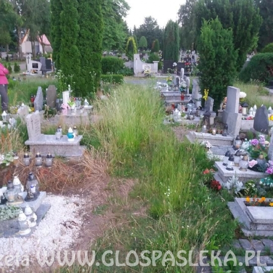 Interwencje – cmentarz