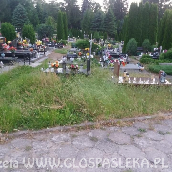 Interwencje – cmentarz