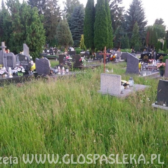 Interwencje – cmentarz