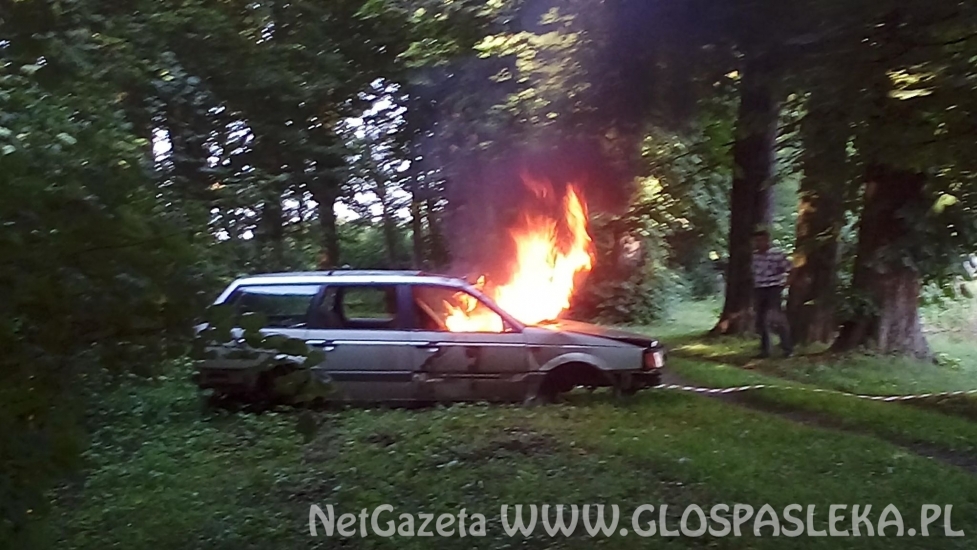 Nowe Kusy 2018 dzien dziecka