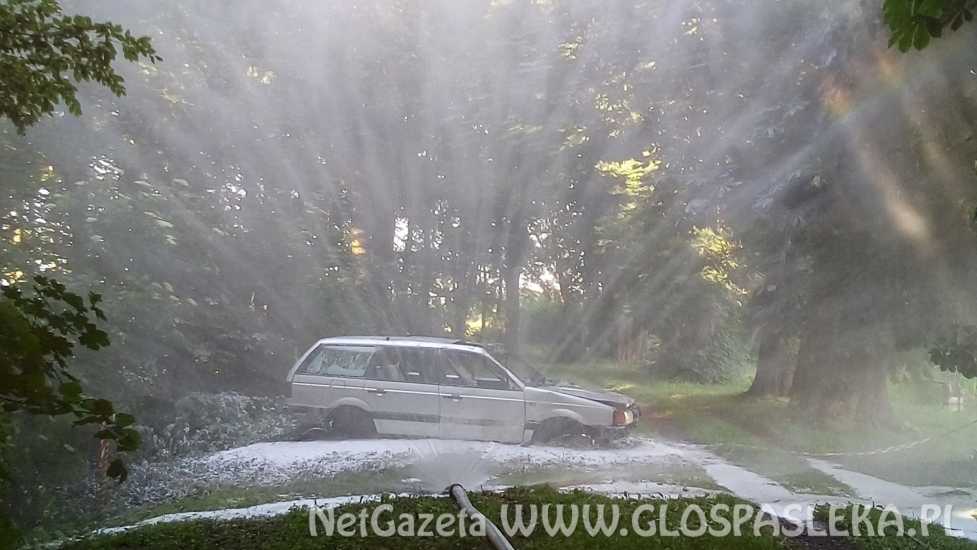 Nowe Kusy 2018 dzien dziecka