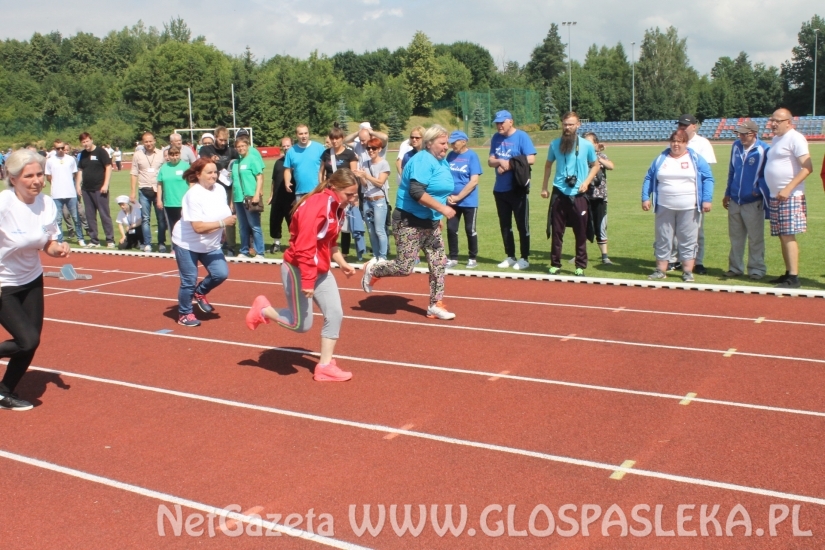 Zawody ŚDS – wyniki