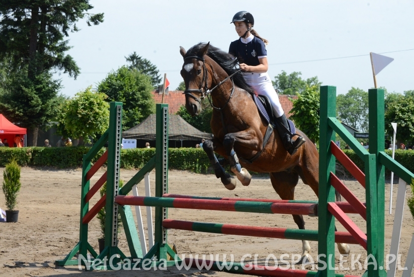 Udane zawody Hani, Kasi i Laury