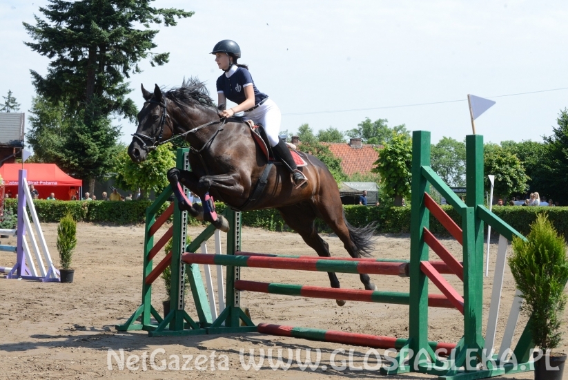 Udane zawody Hani, Kasi i Laury