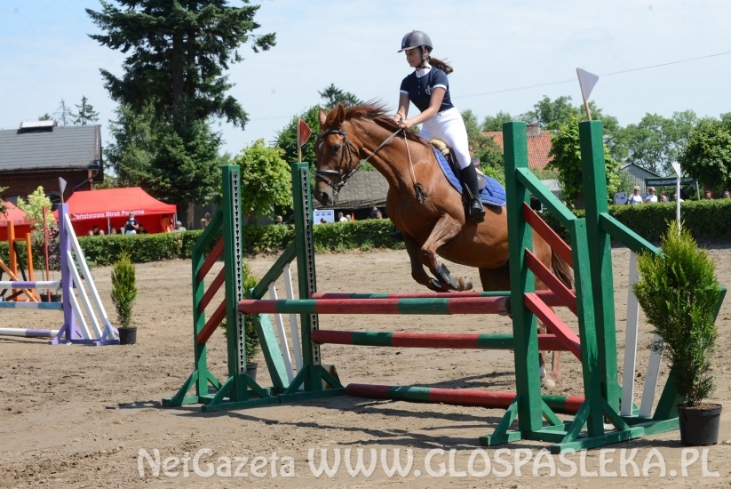 Udane zawody Hani, Kasi i Laury