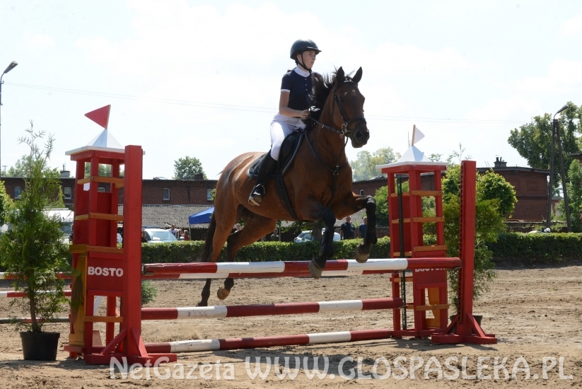 Udane zawody Hani, Kasi i Laury