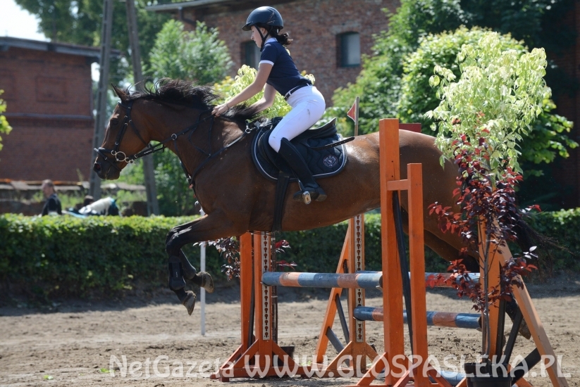 Udane zawody Hani, Kasi i Laury