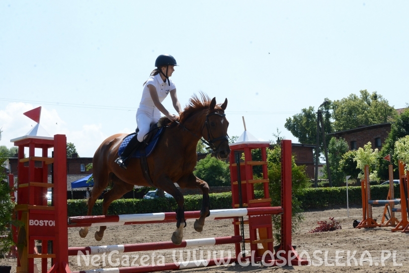 Udane zawody Hani, Kasi i Laury