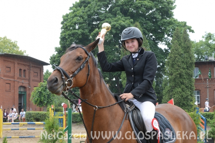 Udane zawody Hani, Kasi i Laury