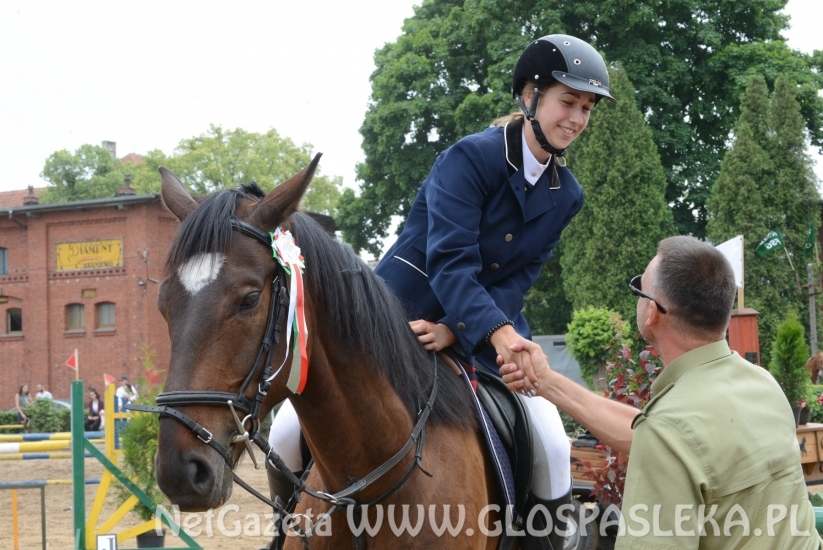 Udane zawody Hani, Kasi i Laury