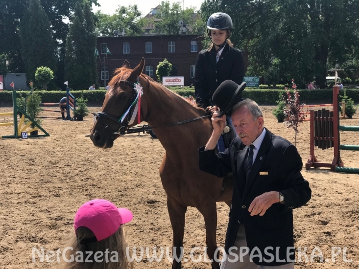 Udane zawody Hani, Kasi i Laury