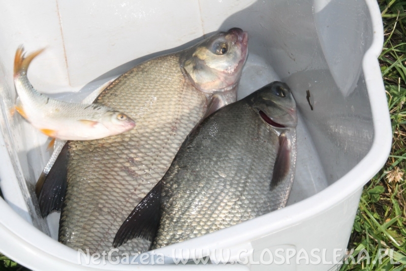 II Grand Prix Zakrzewka II - wyniki