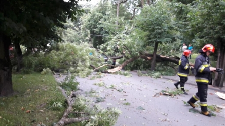 Powiało i połamało