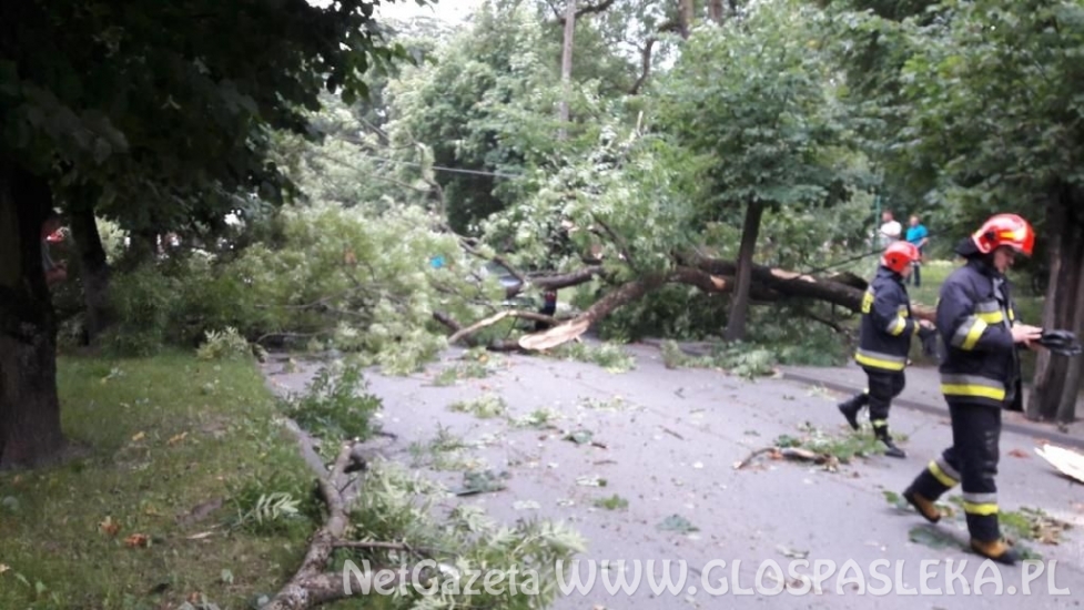 Powiało i połamało