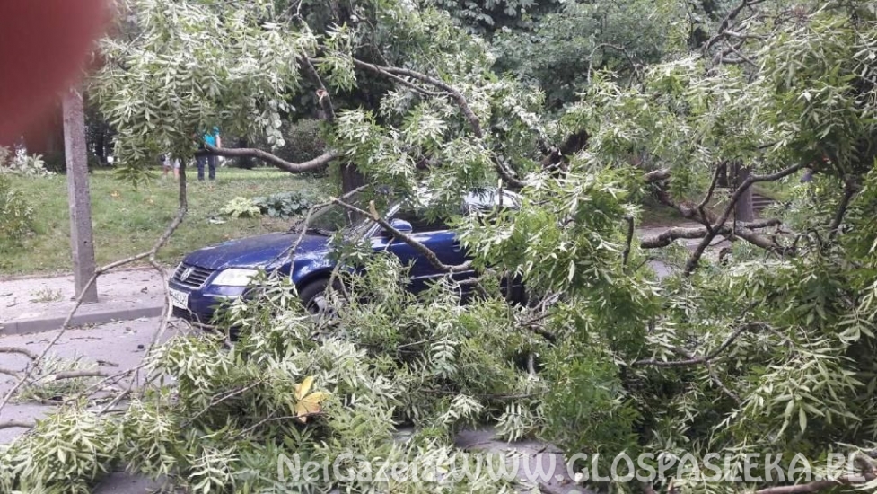 Powiało i połamało