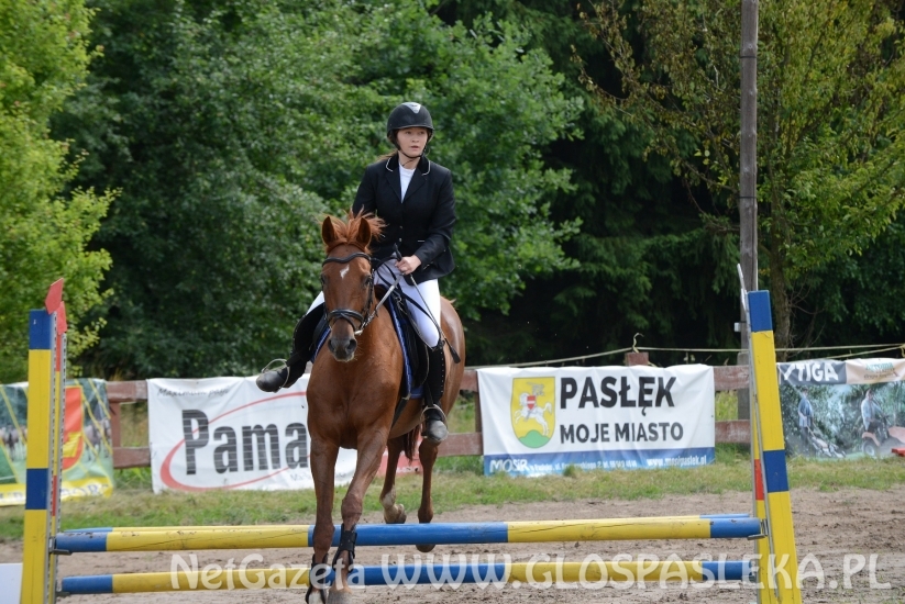 Zawody o Puchar Prezesa