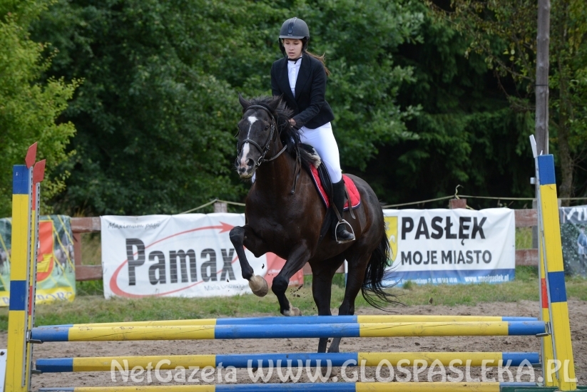 Zawody o Puchar Prezesa