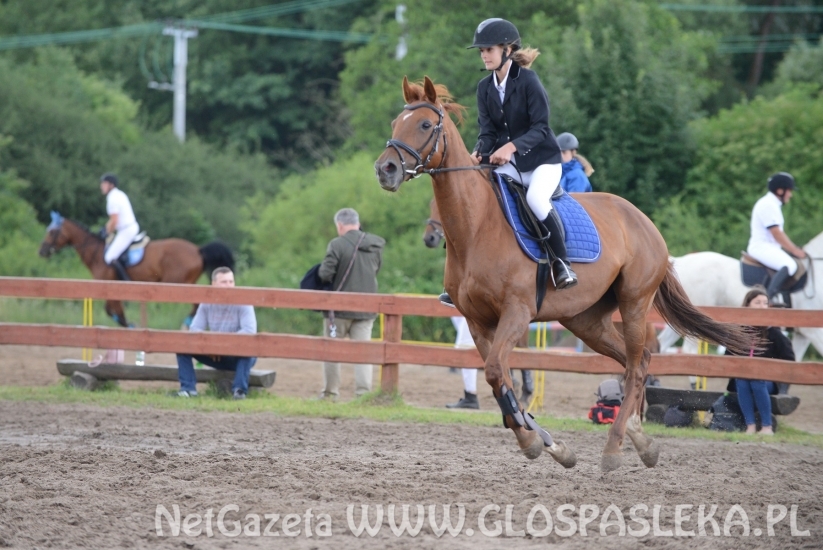 Zawody o Puchar Prezesa