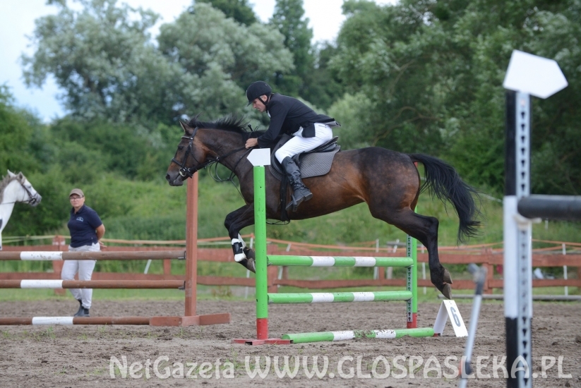 Zawody o Puchar Prezesa