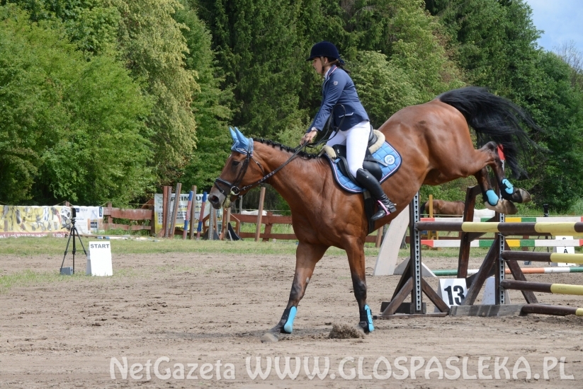 Zawody o Puchar Prezesa