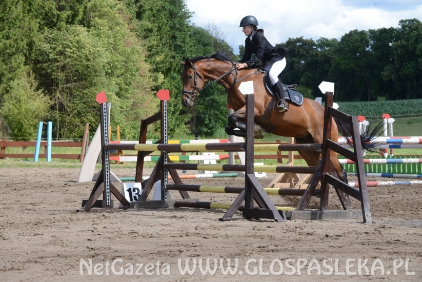 Zawody o Puchar Prezesa