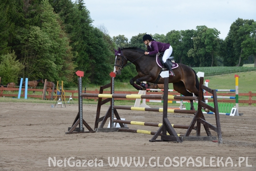 Zawody o Puchar Prezesa