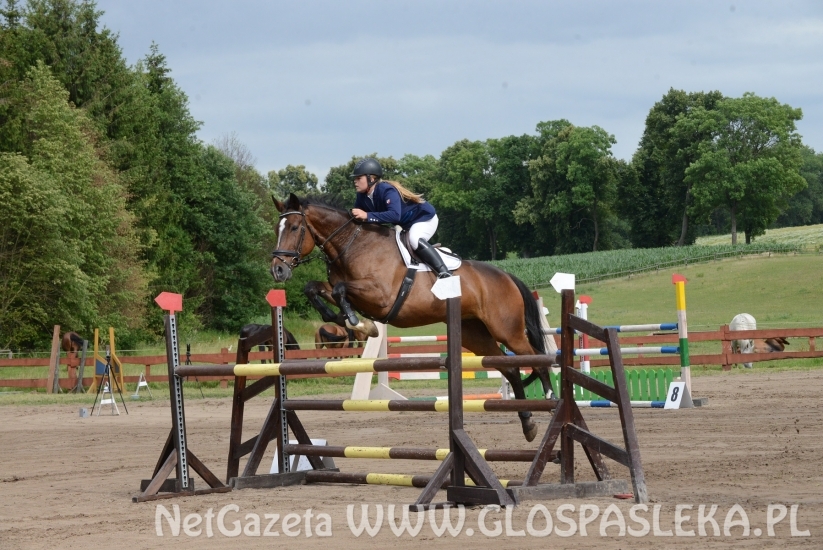 Zawody o Puchar Prezesa