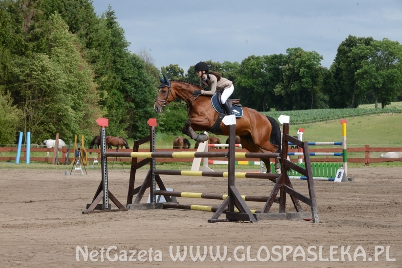 Zawody o Puchar Prezesa