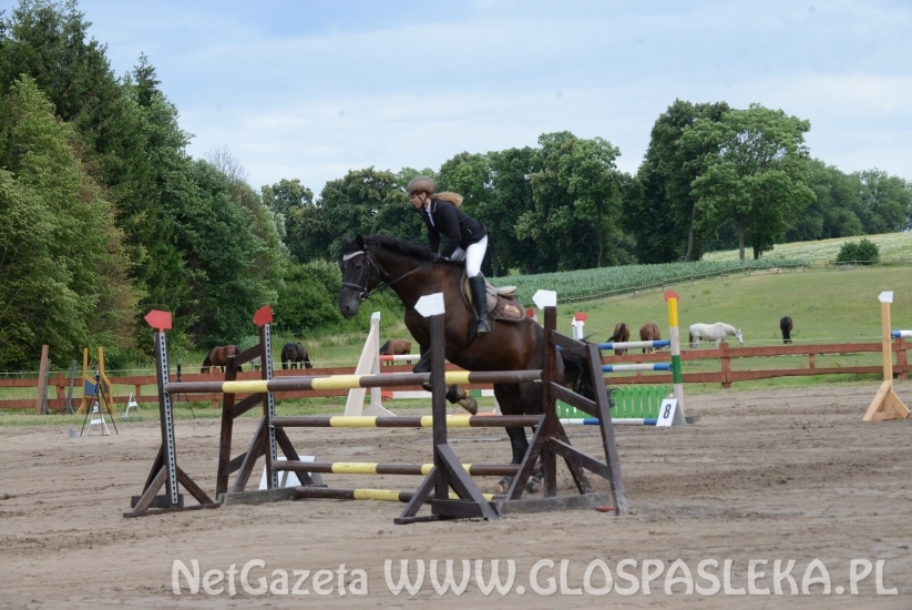 Zawody o Puchar Prezesa