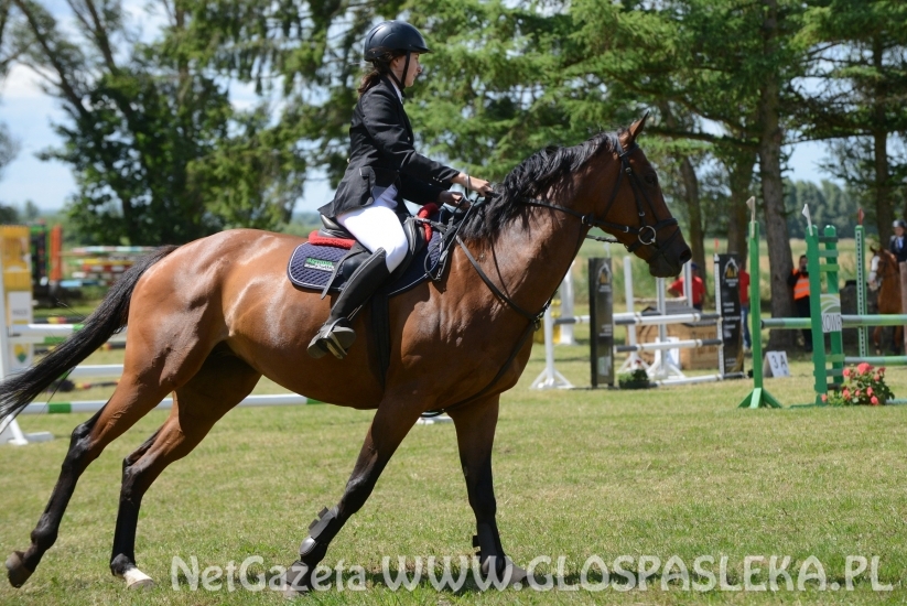 Luiziana wygrywa konkurs kl. N, Blaszka kl. L