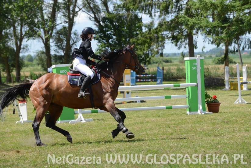 Luiziana wygrywa konkurs kl. N, Blaszka kl. L