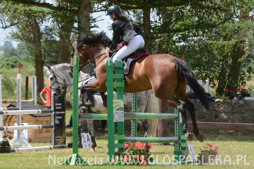 Luiziana wygrywa konkurs kl. N, Blaszka kl. L