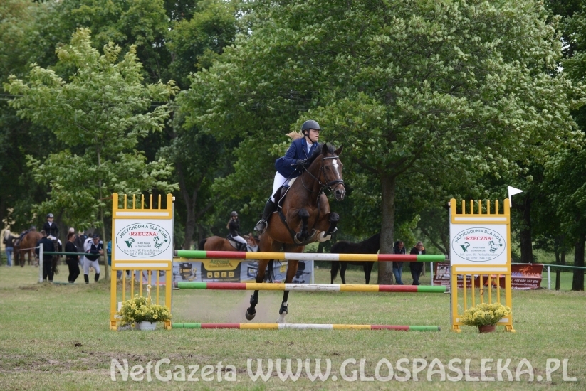 Luiziana wygrywa konkurs kl. N, Blaszka kl. L