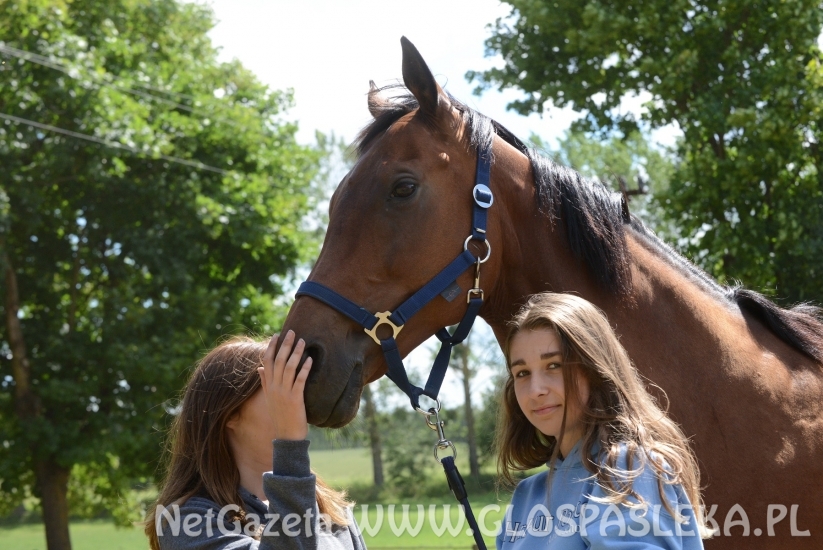 Luiziana wygrywa konkurs kl. N, Blaszka kl. L