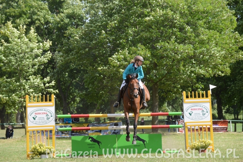 Luiziana wygrywa konkurs kl. N, Blaszka kl. L