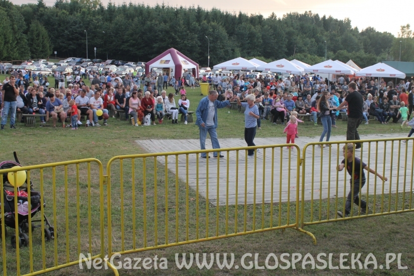 Lubimy muzykę disco polo