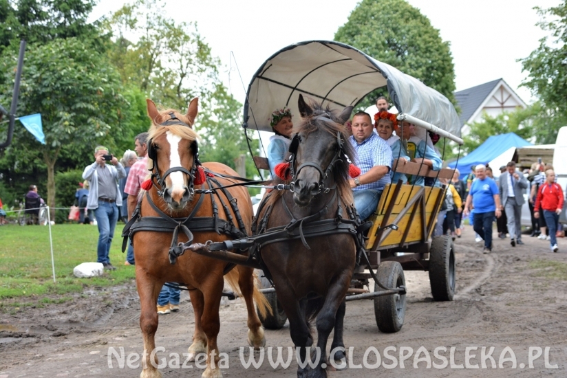 XIV zlot w Aniołowie 14.07.2018r.