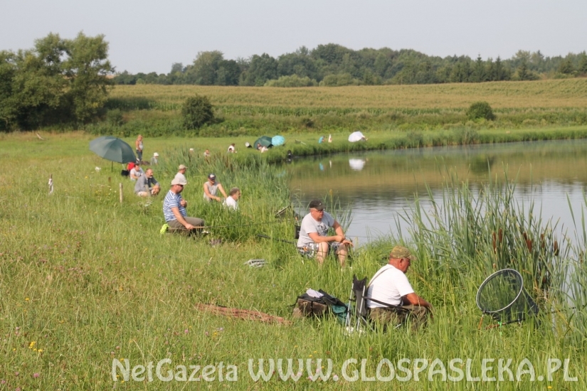 Frekwencja dopisała